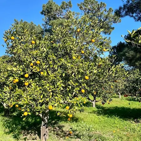 Sol By Check-in Portugal Hébergement de vacances