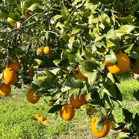 Hébergement de vacances Sol By Check-in Portugal *