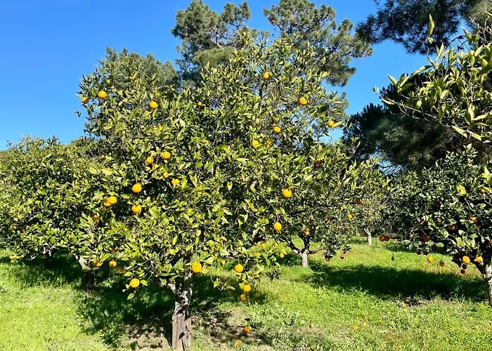 Sol By Check-in Portugal 度假居